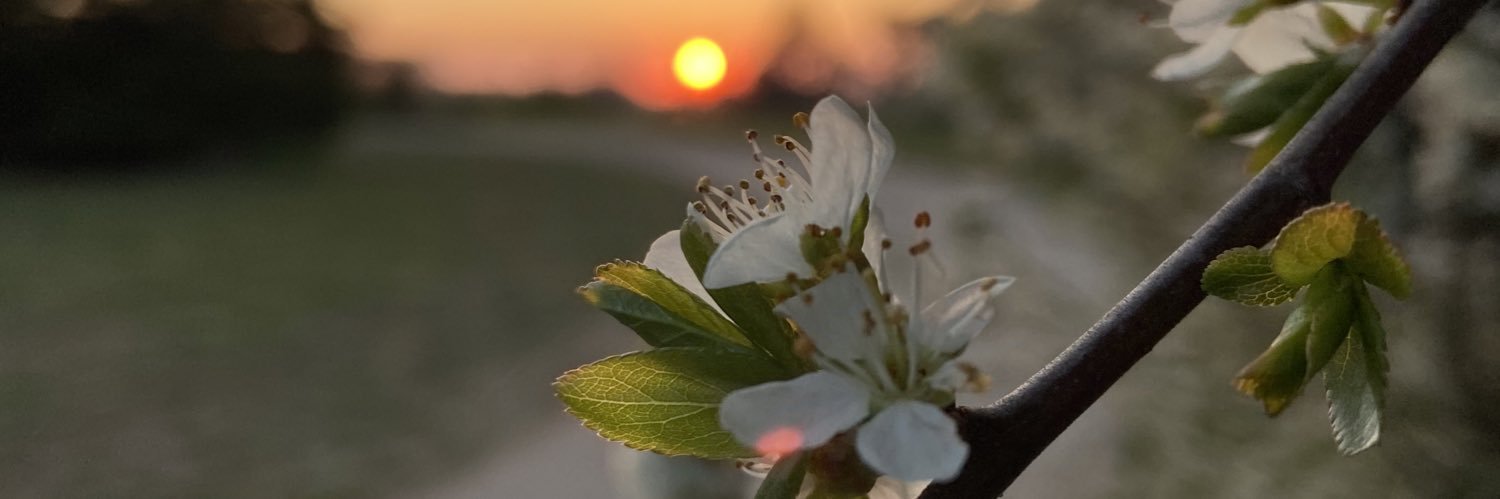 Miss_Ceee's profile banner image