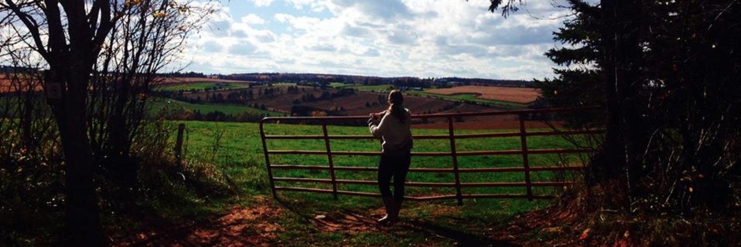 sarahherbert7's profile banner image