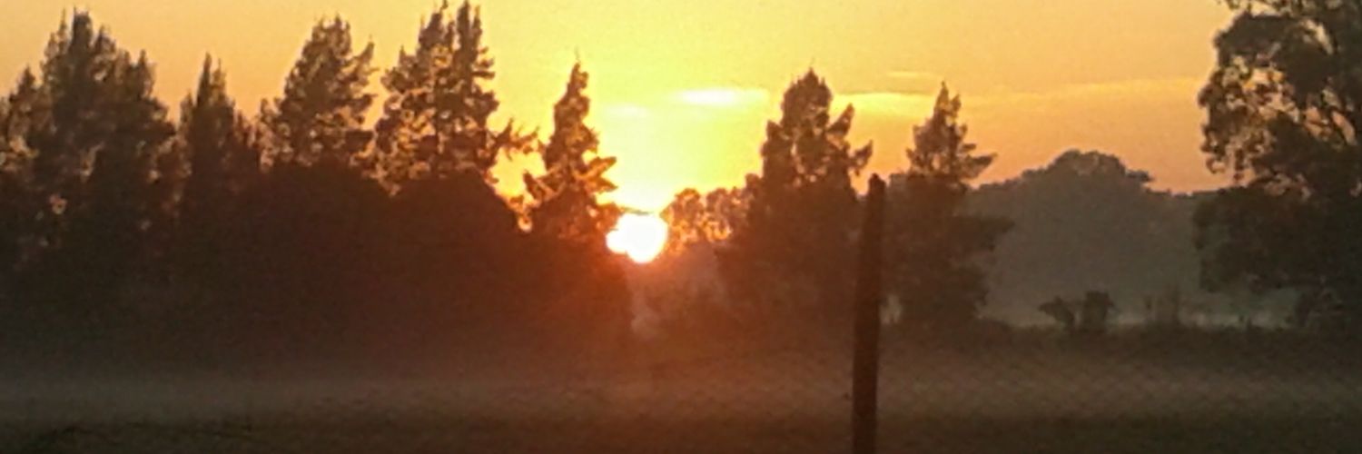 jorge lascala banner