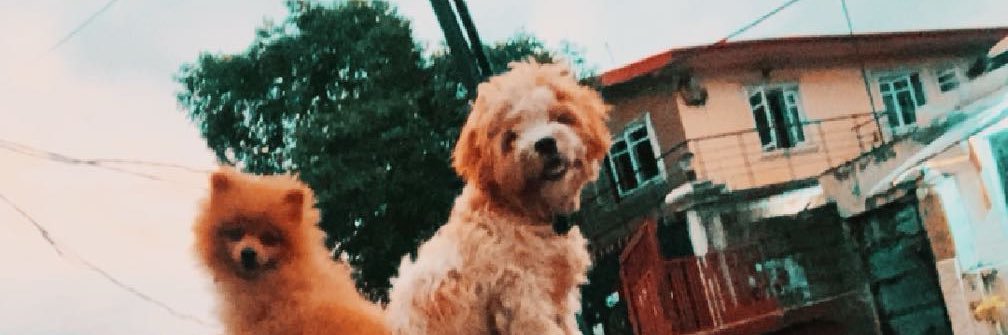 Assistant Boyfriend (Rhyno) banner