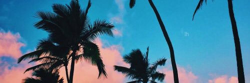 Marimcf_'s profile banner image