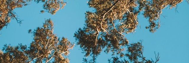 ffedericaas's profile banner image
