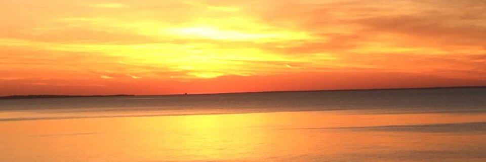 Tfries333's profile banner image