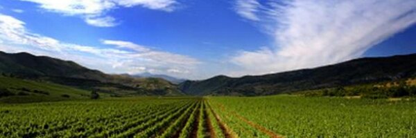 ElstonSolberg Profile Banner