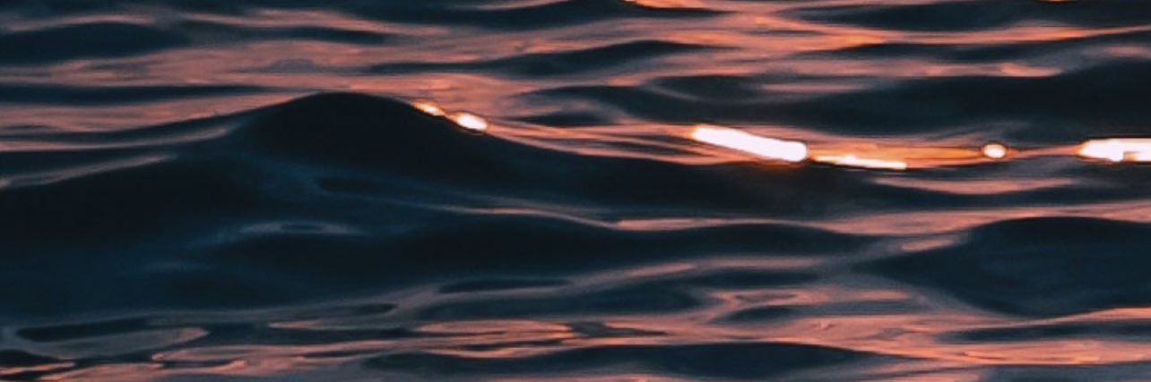 billiesrose's profile banner image