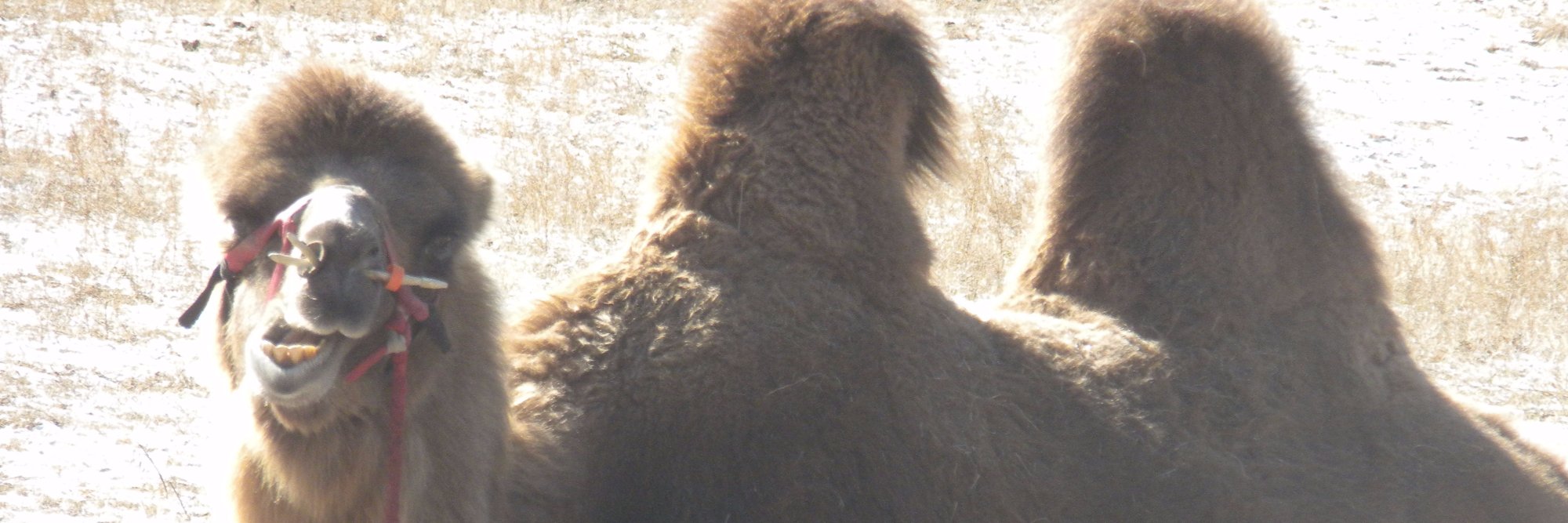 BenJamminZen's profile banner image