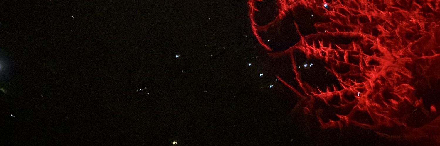_sofirueda's profile banner image