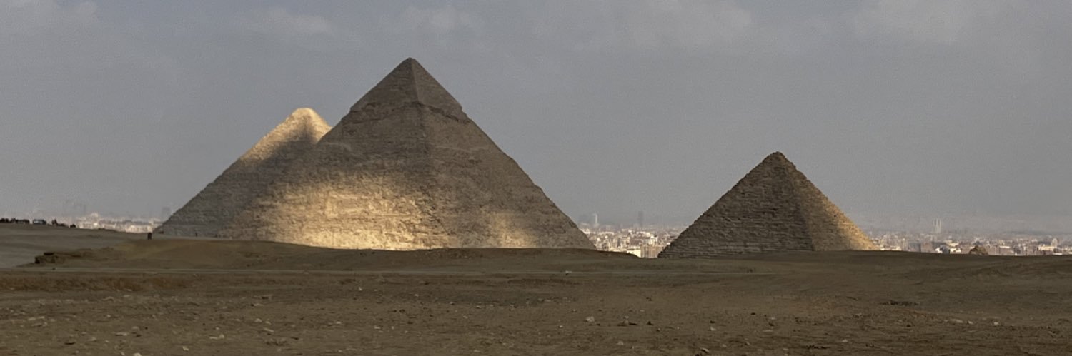 Monica Cardillo banner