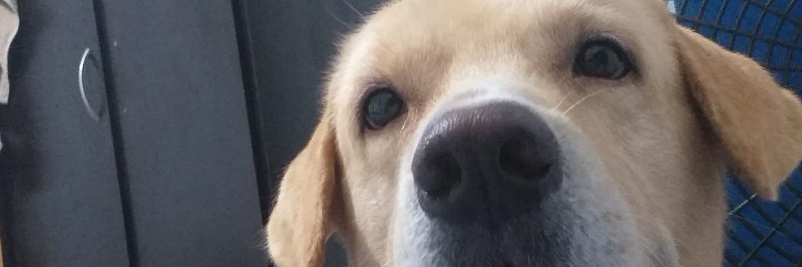 Mich_Vill_'s profile banner image