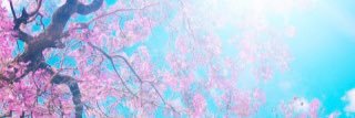swoodruff23's profile banner image