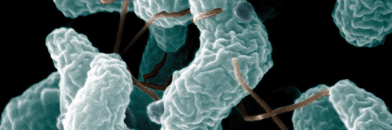 Michele Jay-Russell banner