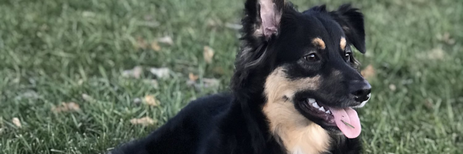 _sidneyrd's profile banner image