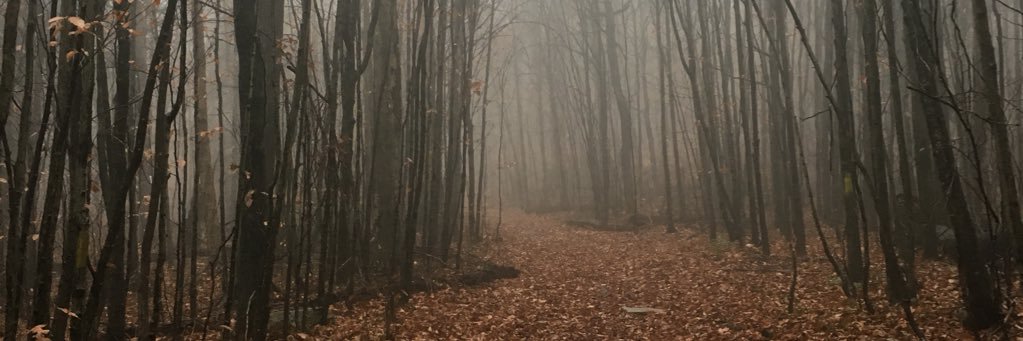 raxtsfk's profile banner image