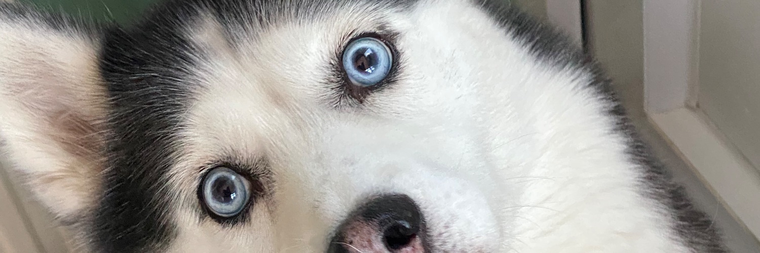JackTurbefield's profile banner image