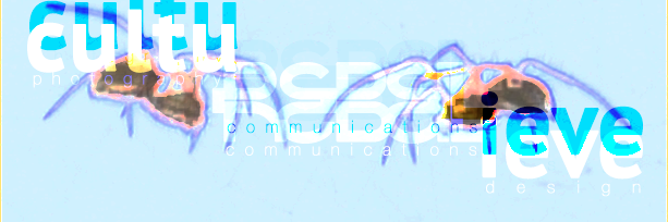 redmonbaker's profile banner image