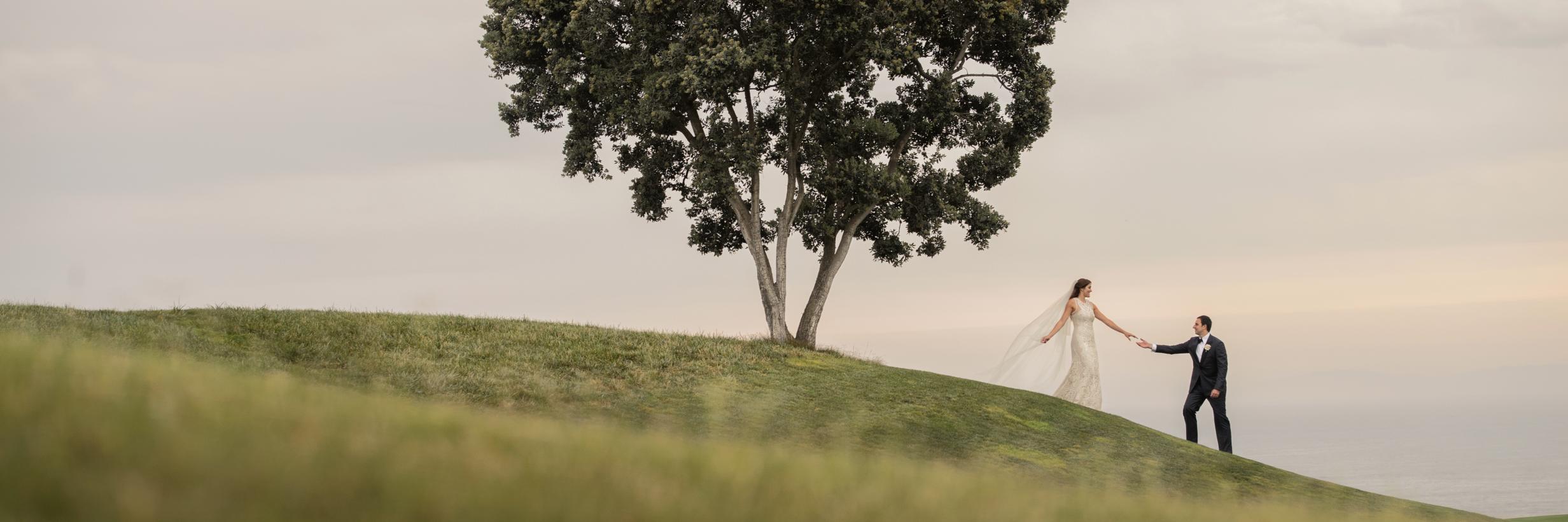 Susan Stripling banner