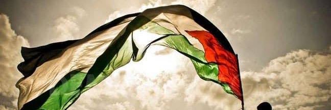 Emerald 🇵🇸 banner