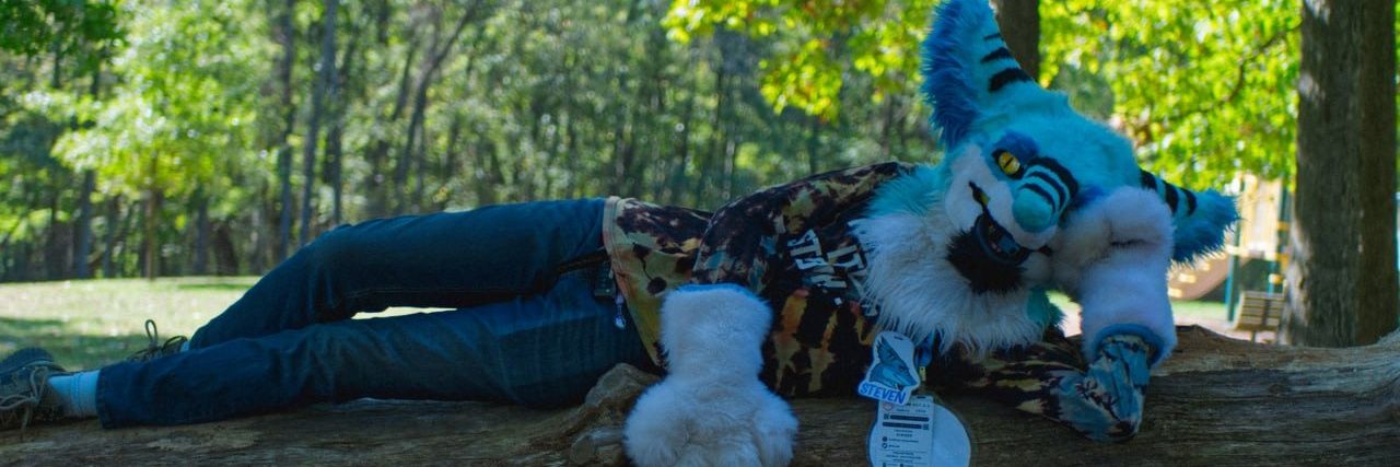 StevenSergall's profile banner image