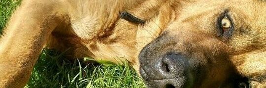 Lu7689's profile banner image