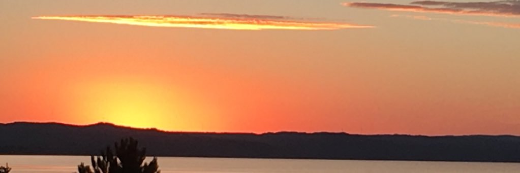 Rose_Wilbur's profile banner image