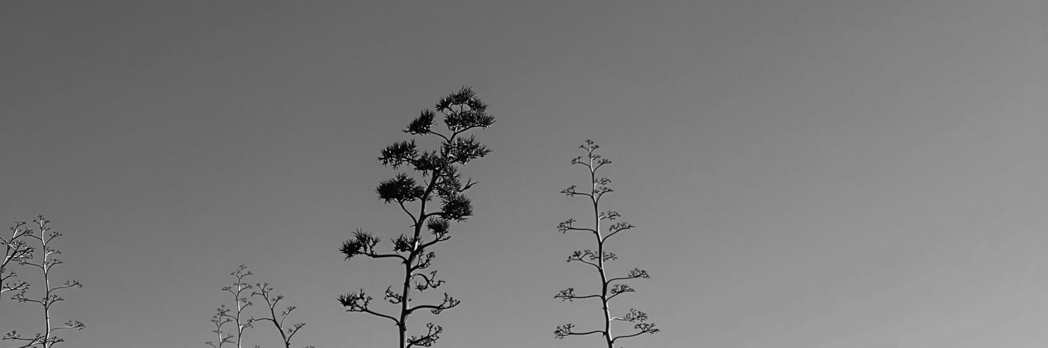 Ανδρεια banner