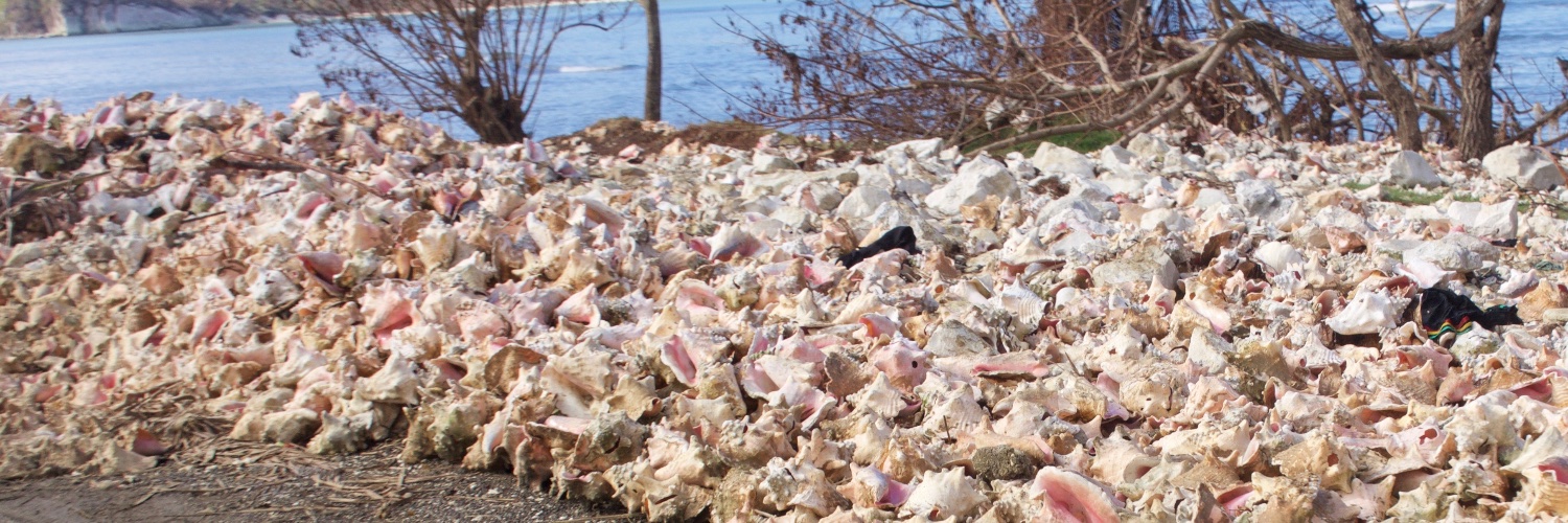 Craig Williams banner