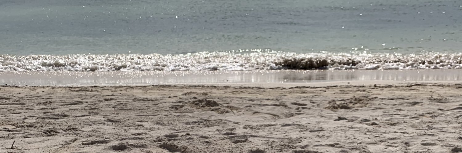 TristanRHaynes's profile banner image