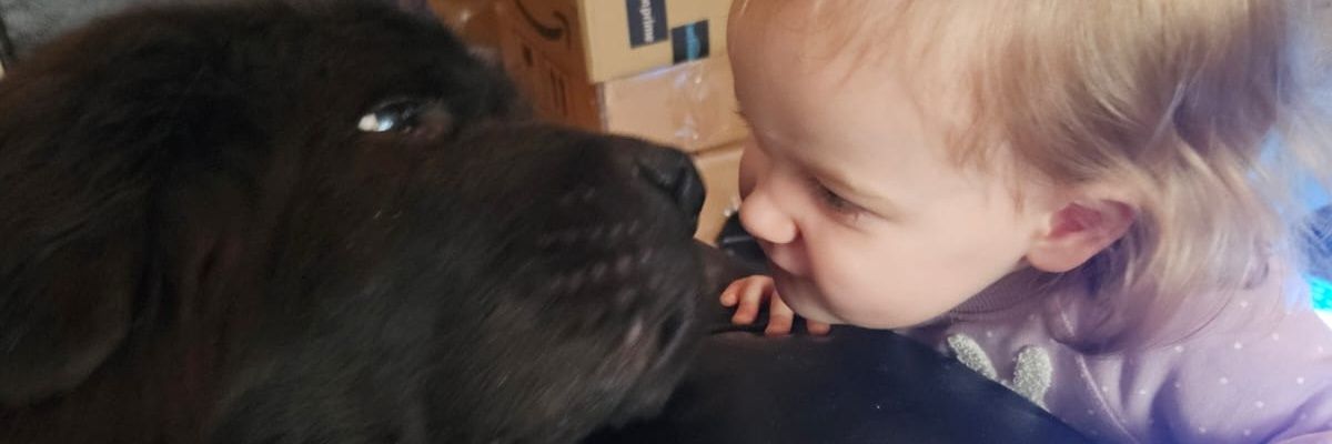 mbjamby's profile banner image