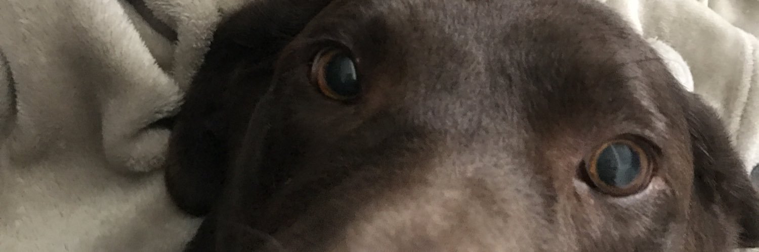 ElyssaMedina's profile banner image