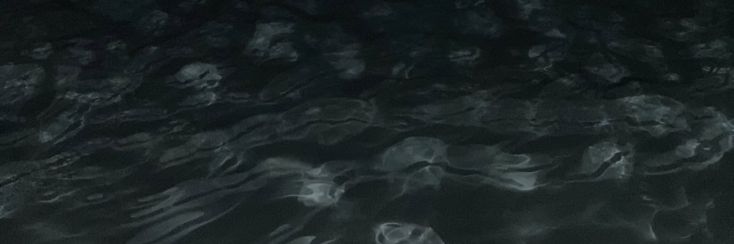 Alwestfal1's profile banner image