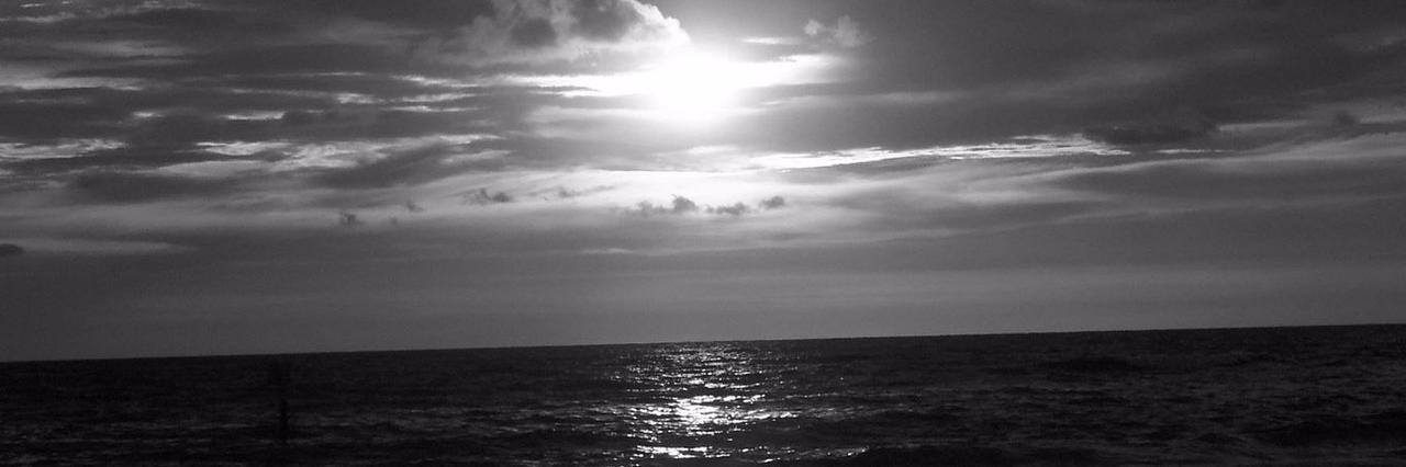 prefgrey's profile banner image