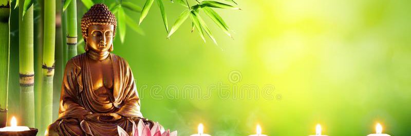 writh23's profile banner image