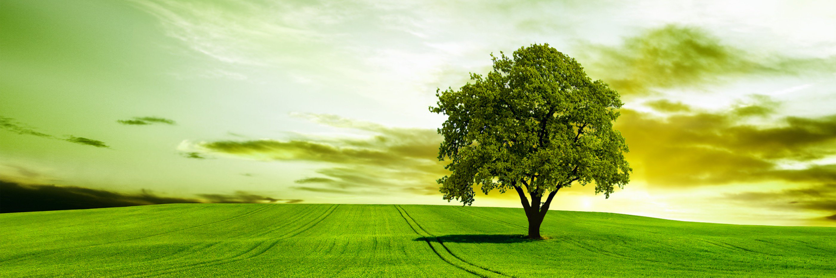 hadith's profile banner image