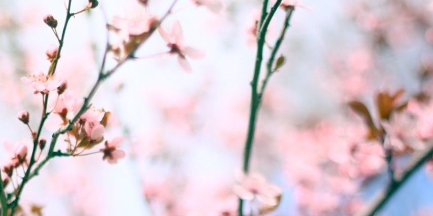 MariEstraada's profile banner image