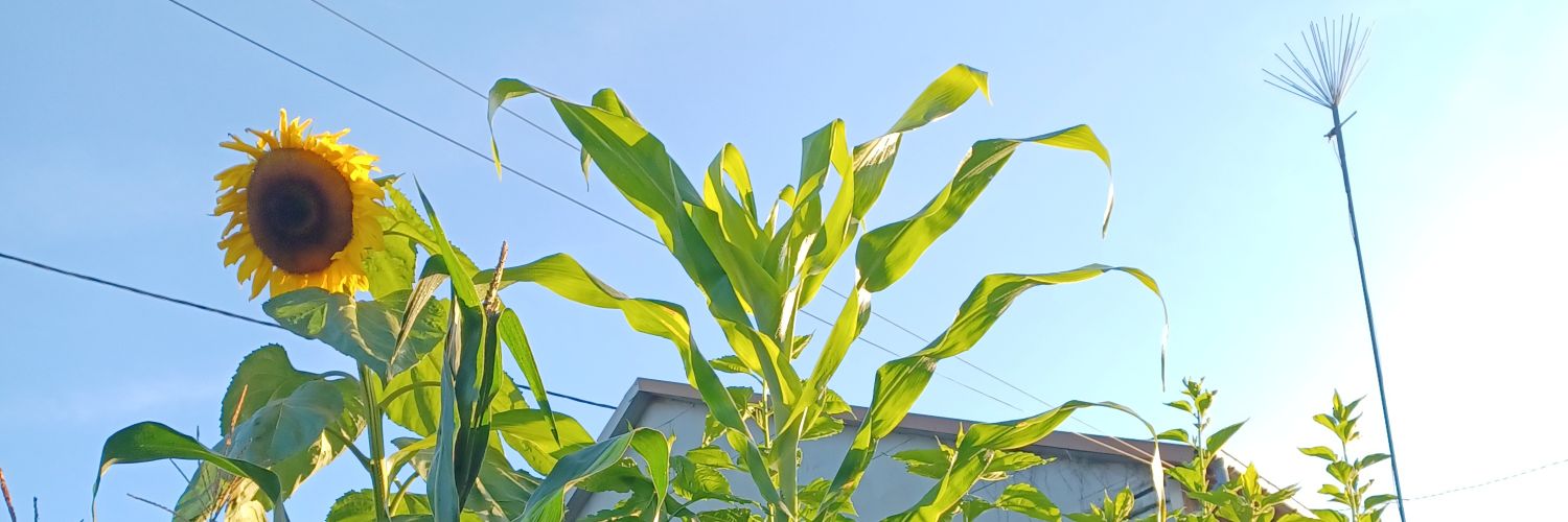 YannickAlsace's profile banner image