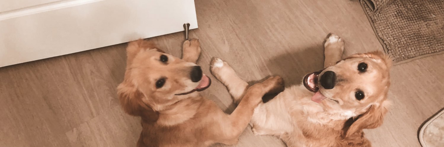 CassieBoyce2's profile banner image