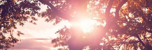 HannahDeeDot's profile banner image