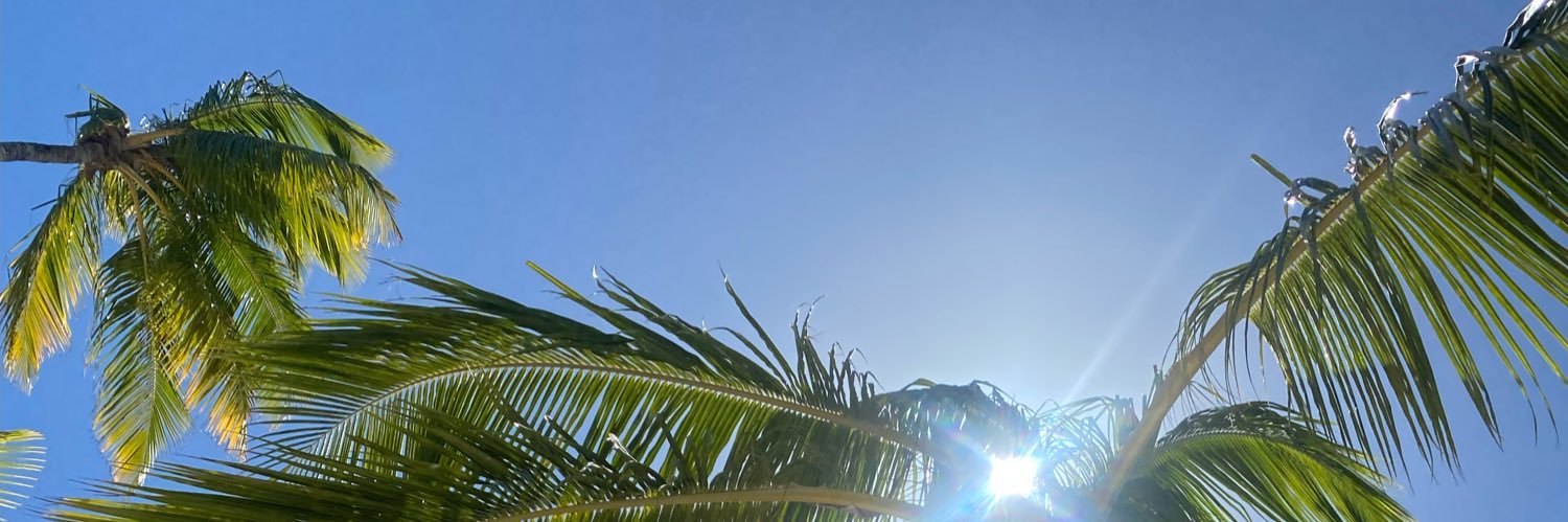 meanade's profile banner image