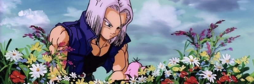 bd banner