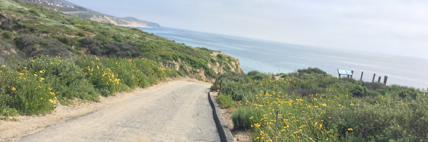 ken_morr's profile banner image