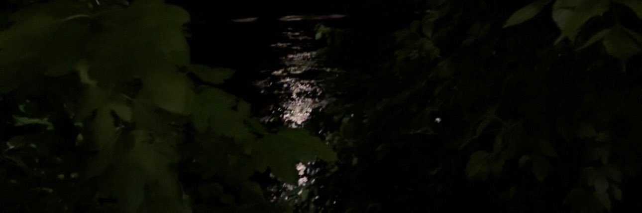 nasmrashaid's profile banner image