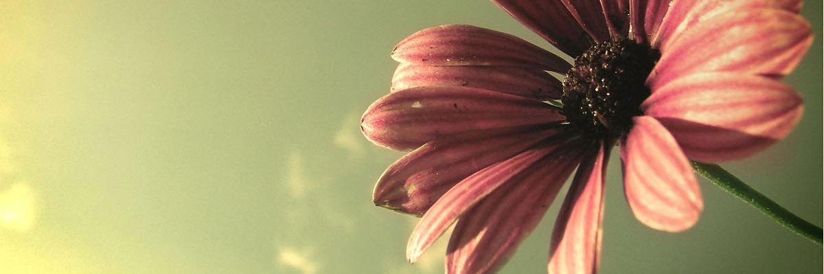 kelliann1111's profile banner image