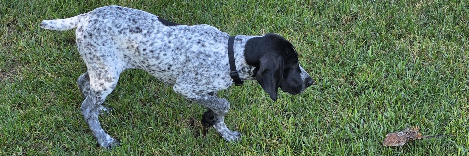 Johnny🇲🇽 banner