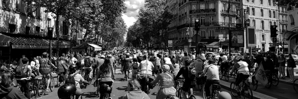 MDBIDF Profile Banner