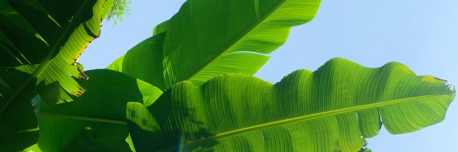 Kenzs22's profile banner image