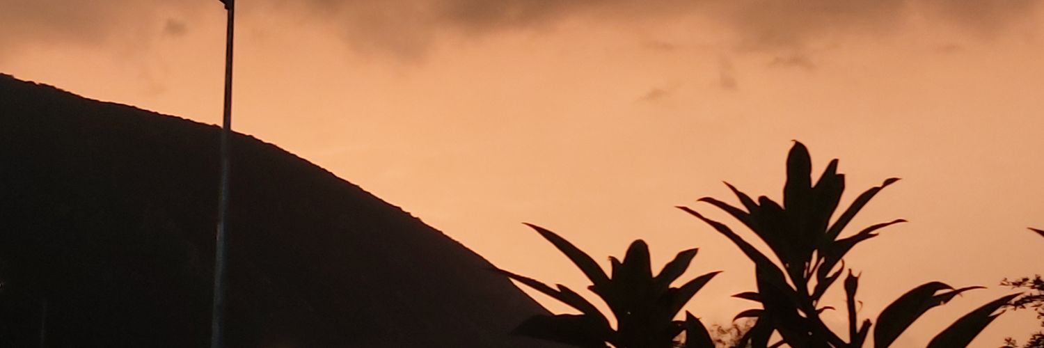 Isabel Zuñiga🌺 banner