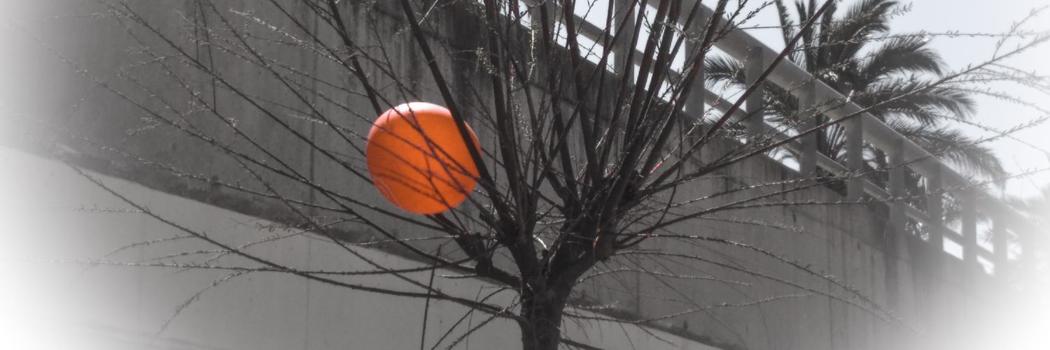 alexandra quesada banner