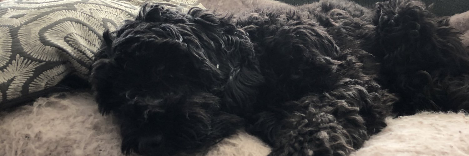 loolabeth's profile banner image