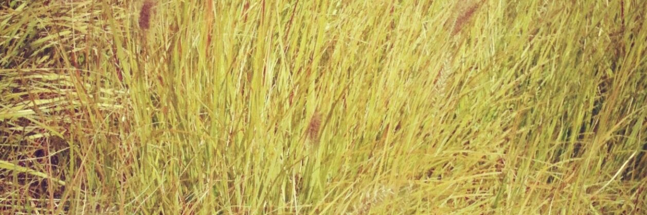 WeDeliverSocial's profile banner image