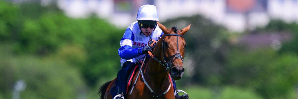 Aaron Wallace banner